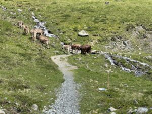 IMG_0828