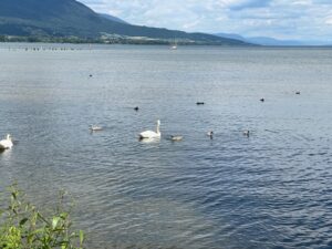 IMG_0863